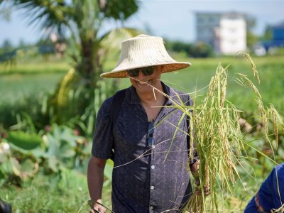 SS Rice News Convention 2025, Pattaya - Thailand